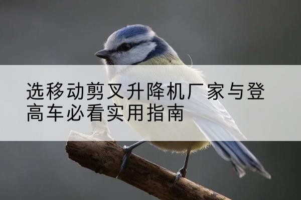 沈阳电动升降机厂家-选移动剪叉升降机厂家与登高车必看实用指南