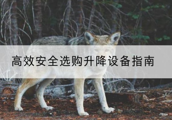沈阳升降货梯厂家推荐-*安全选购升降设备指南
